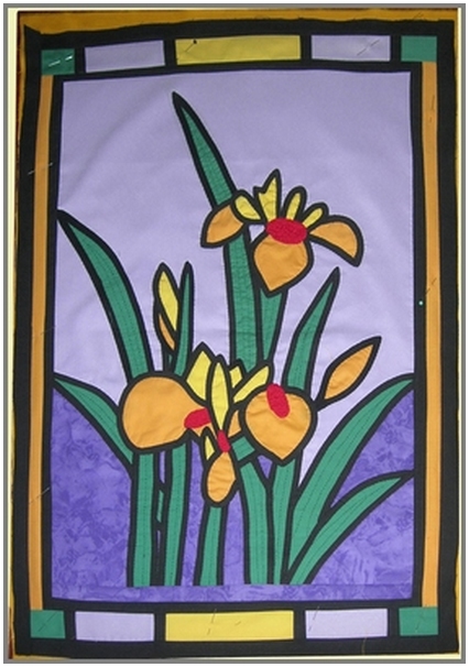 2008oa