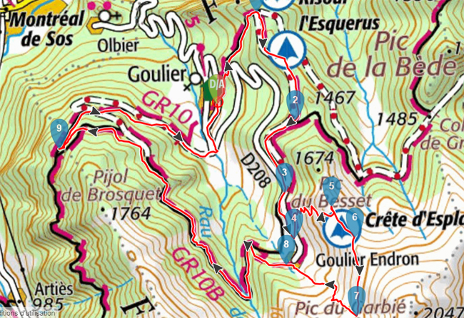 Goulier