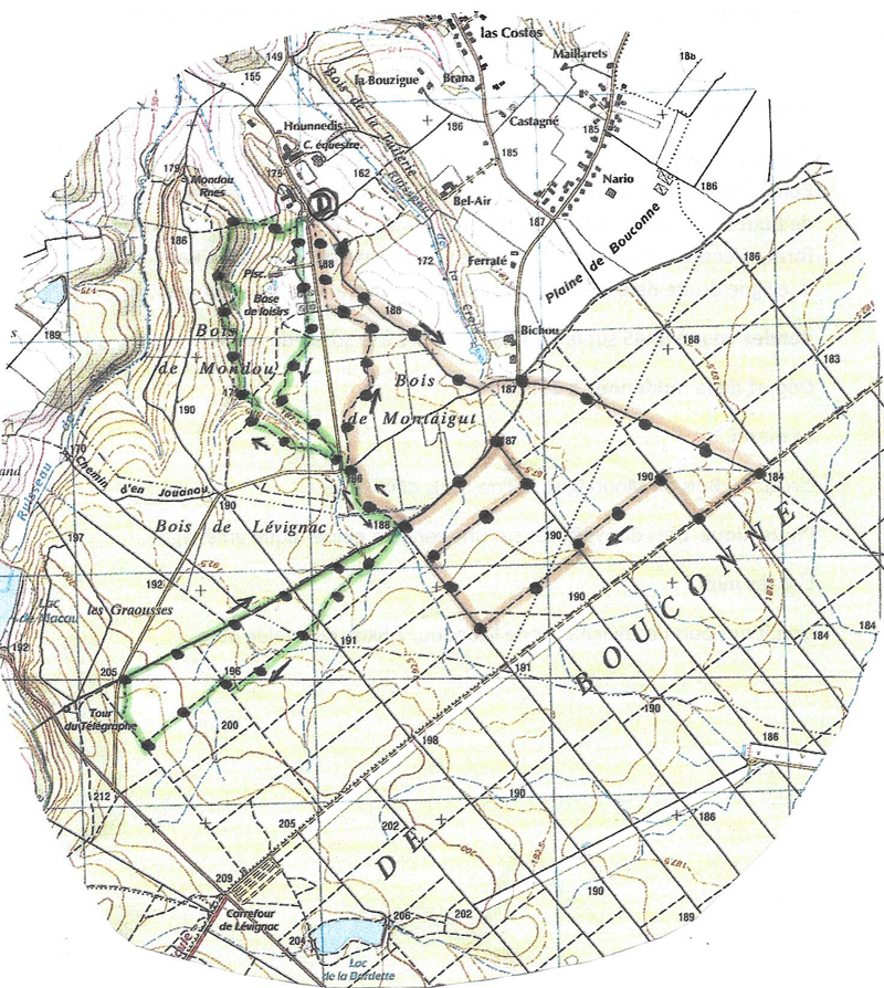 Forêt de Bouconne