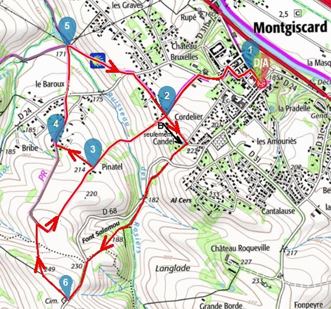 Montgiscard