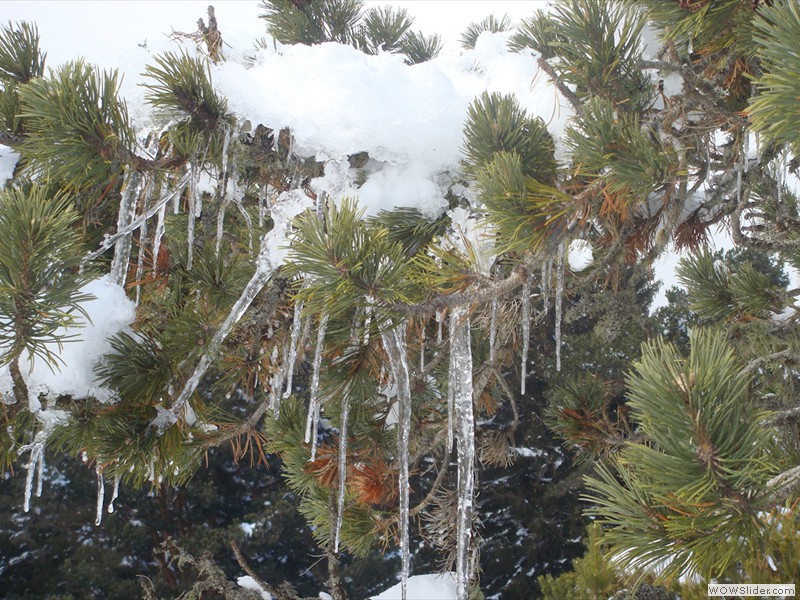 Stalactites